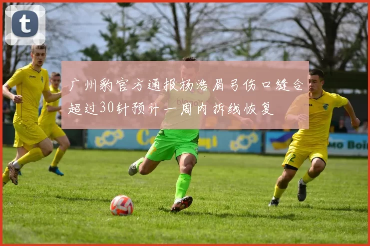 广州豹官方通报杨浩眉弓伤口缝合超过30针预计一周内拆线恢复